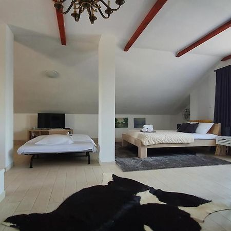 Villa Mons Aureus Popovac Экстерьер фото