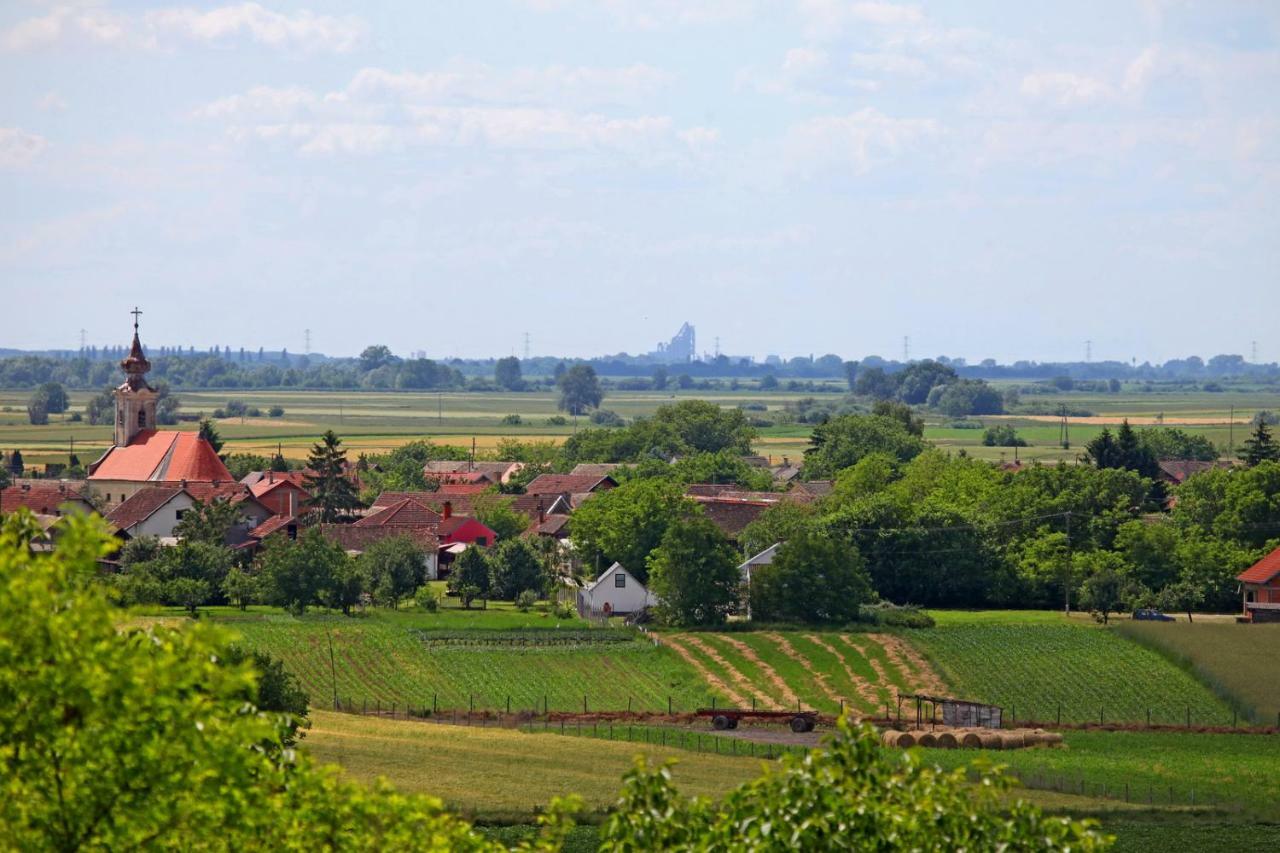 Villa Mons Aureus Popovac Экстерьер фото