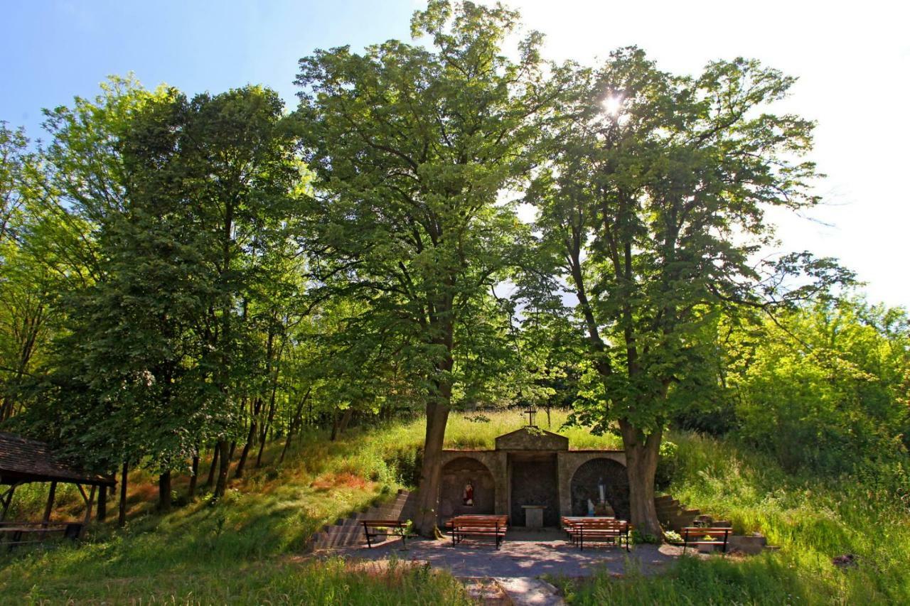 Villa Mons Aureus Popovac Экстерьер фото